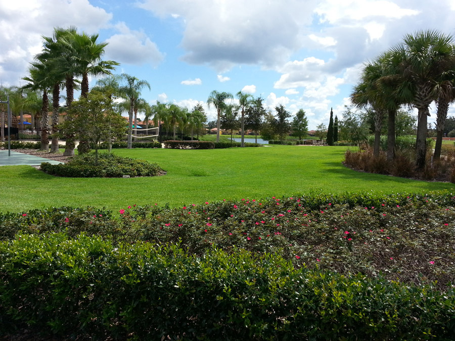 Pest Control Lawn Care shrub care Landscape development Maintenance Irrigation systems orlando central florida