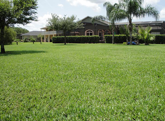 Pest Control Lawn Care shrub care Landscape development Maintenance Irrigation systems orlando central florida