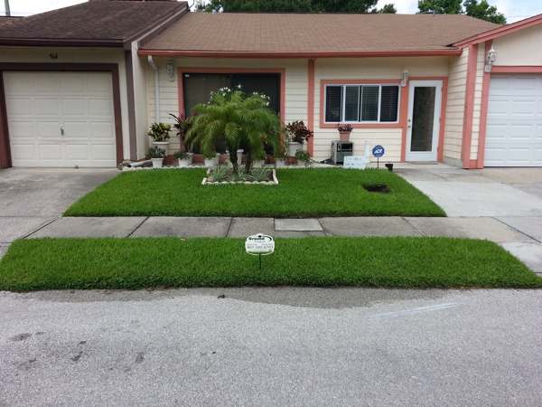 Ground Preserve Residentail Pest Control - Lawn Portfolio