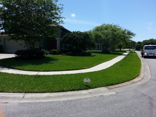 Ground Preserve Residentail Pest Control - Lawn Portfolio