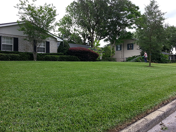 Ground Preserve Residentail Pest Control - Lawn Portfolio